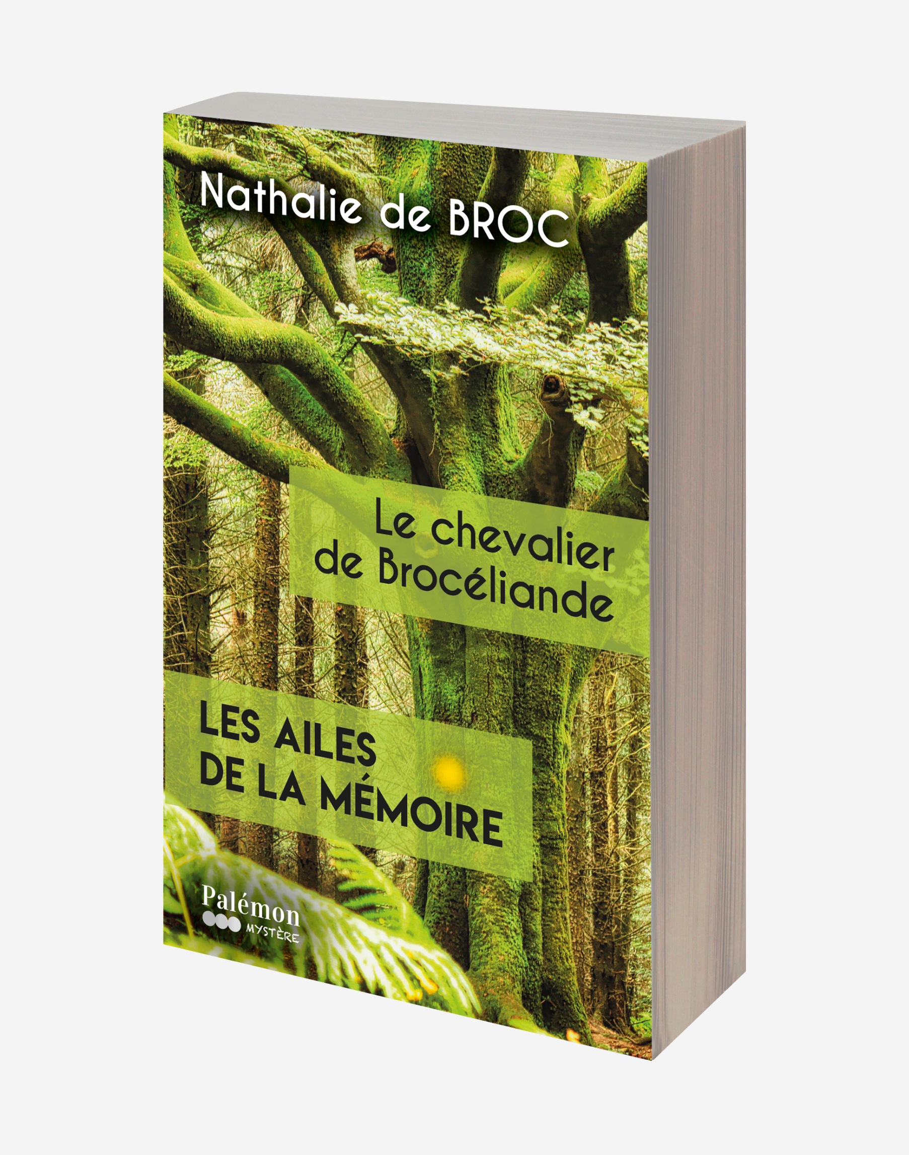 N°02 - Le chevalier de Brocéliande