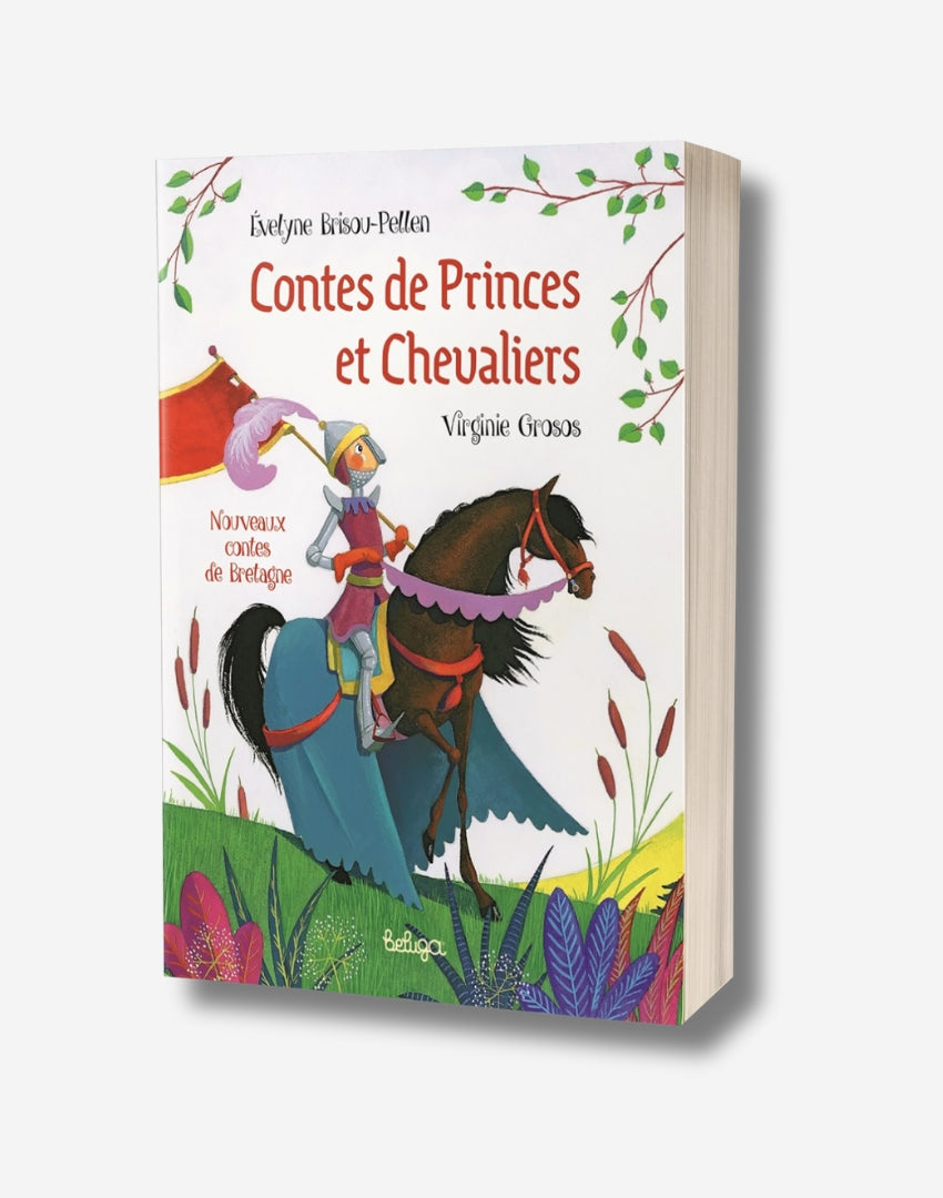 Contes de princes et chevaliers - Nouveaux contes de Bretagne