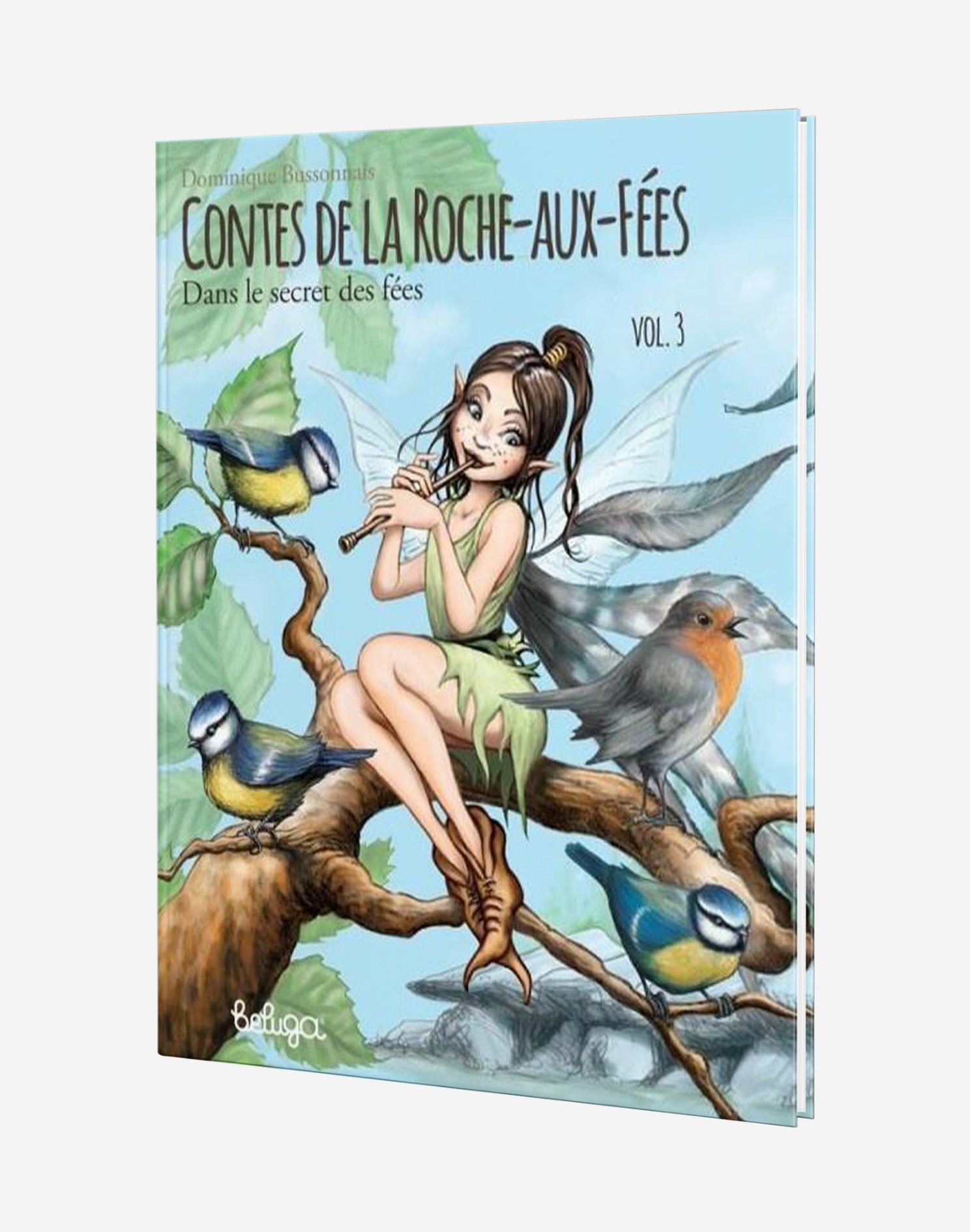 N°3. Contes de la roche-aux-fées : dans le secret des fées