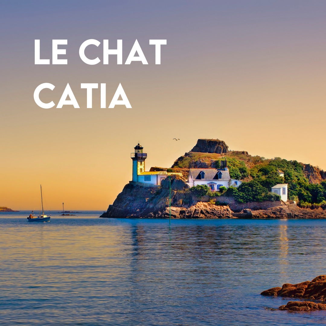 Chat-Catia-2.jpg