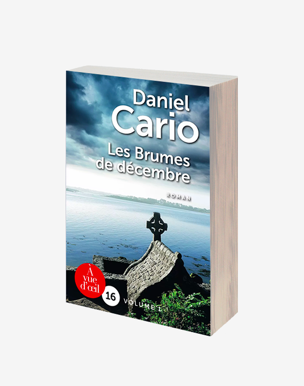 Les Brumes de décembre (2 volumes)