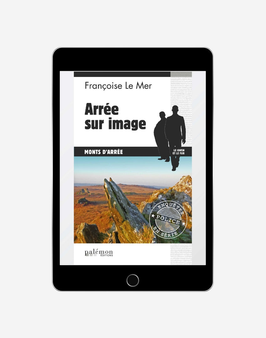 N°15 - Arrée sur image