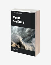 Vague scélérate