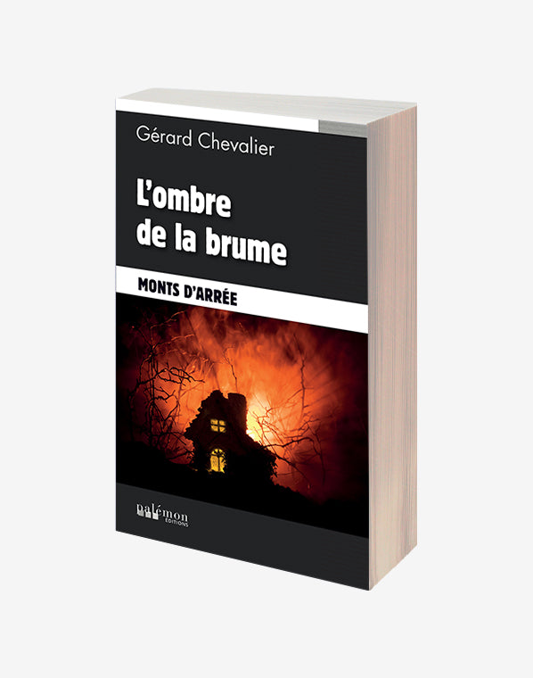 L'ombre de la brume