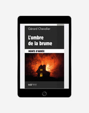 L'ombre de la brume