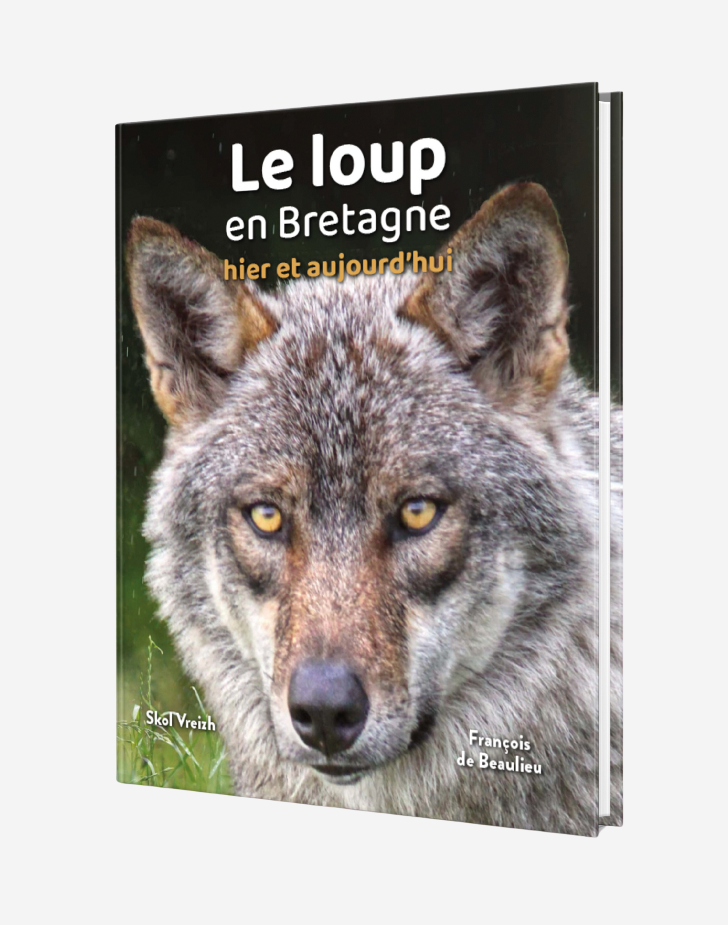 Le loup en Bretagne - Hier et aujourd’hui