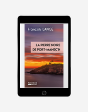 La pierre noire de Port Manec'h