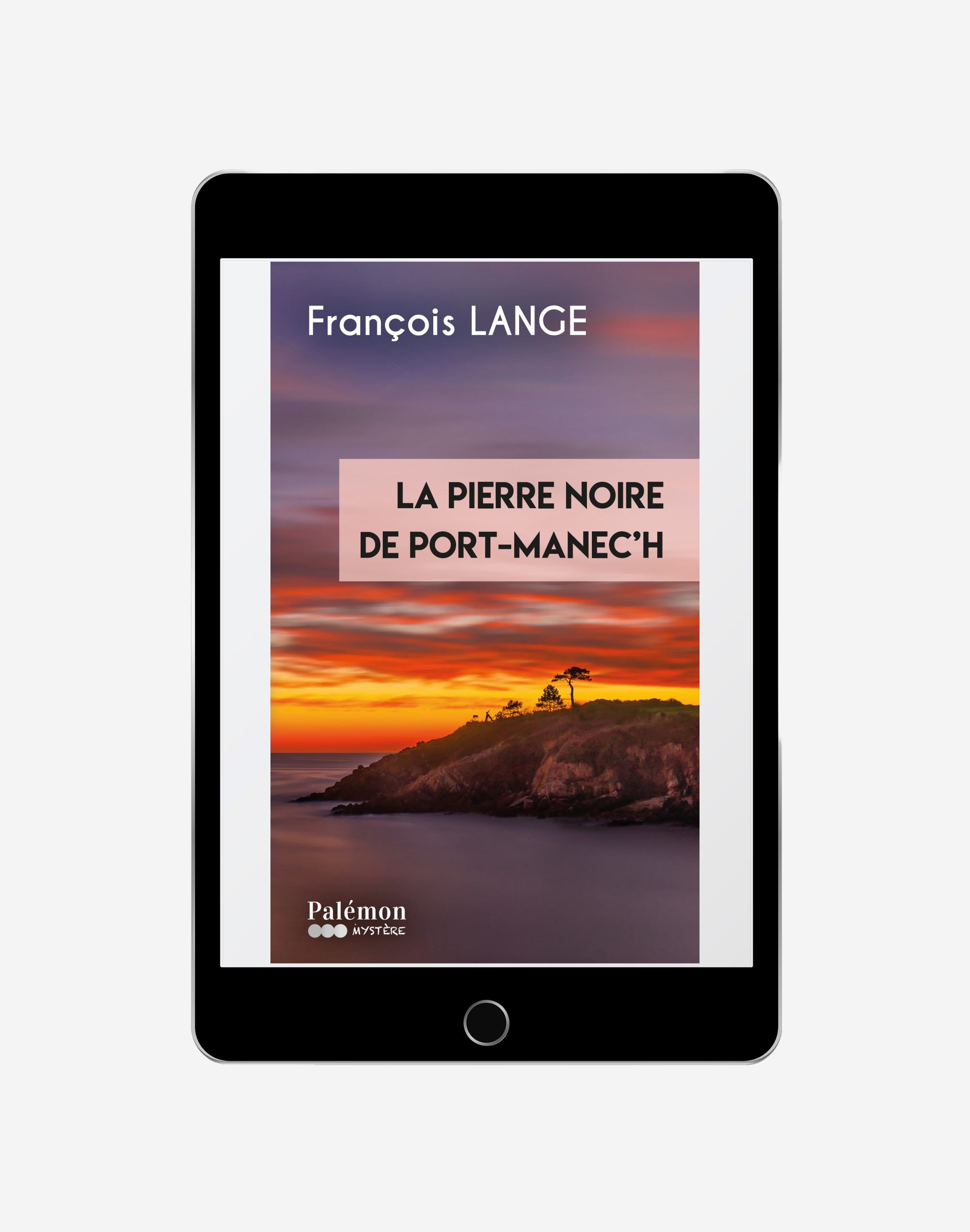 La pierre noire de Port Manec'h
