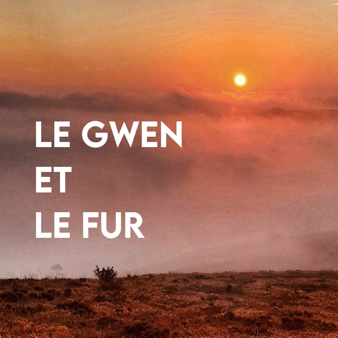 Le-Gwen-Le-Fur.jpg