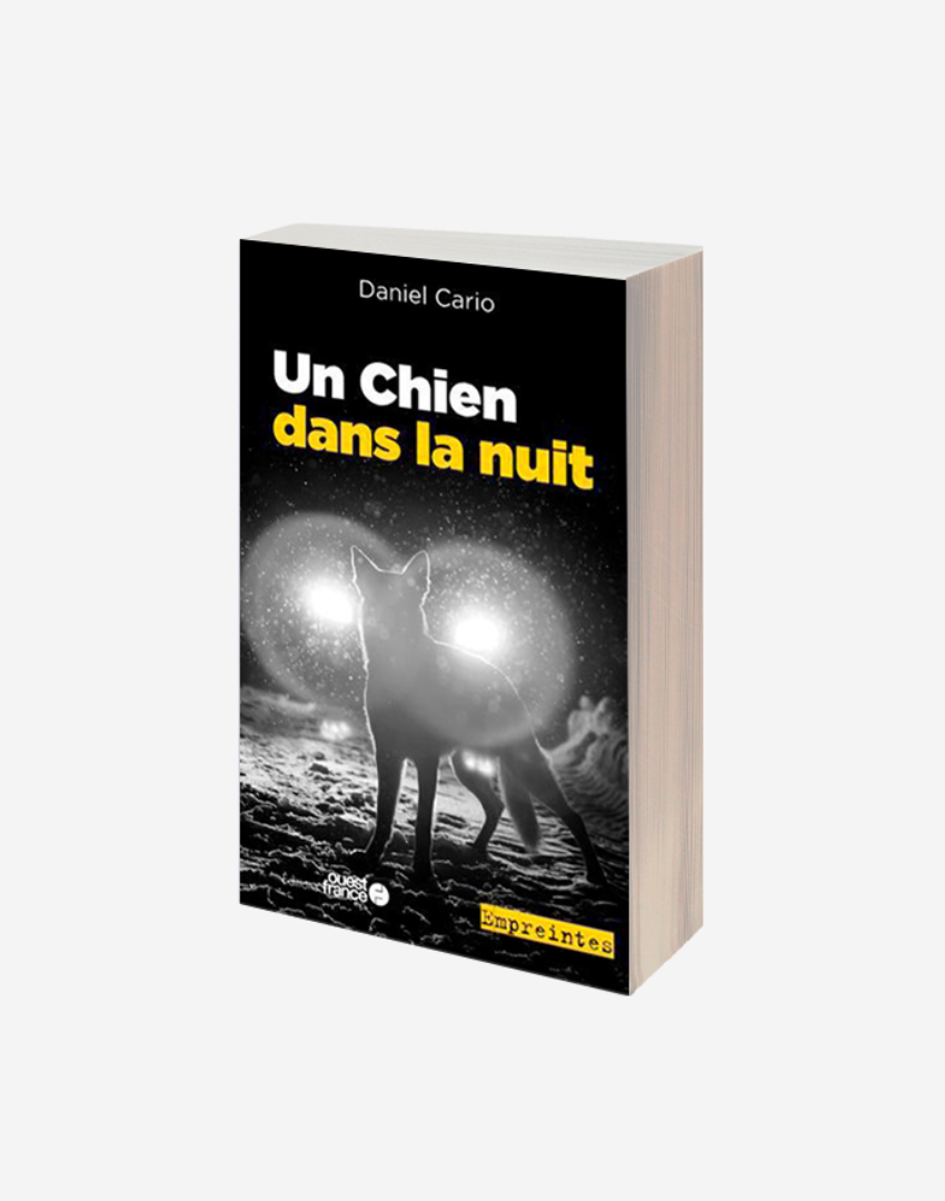 Un chien dans la nuit