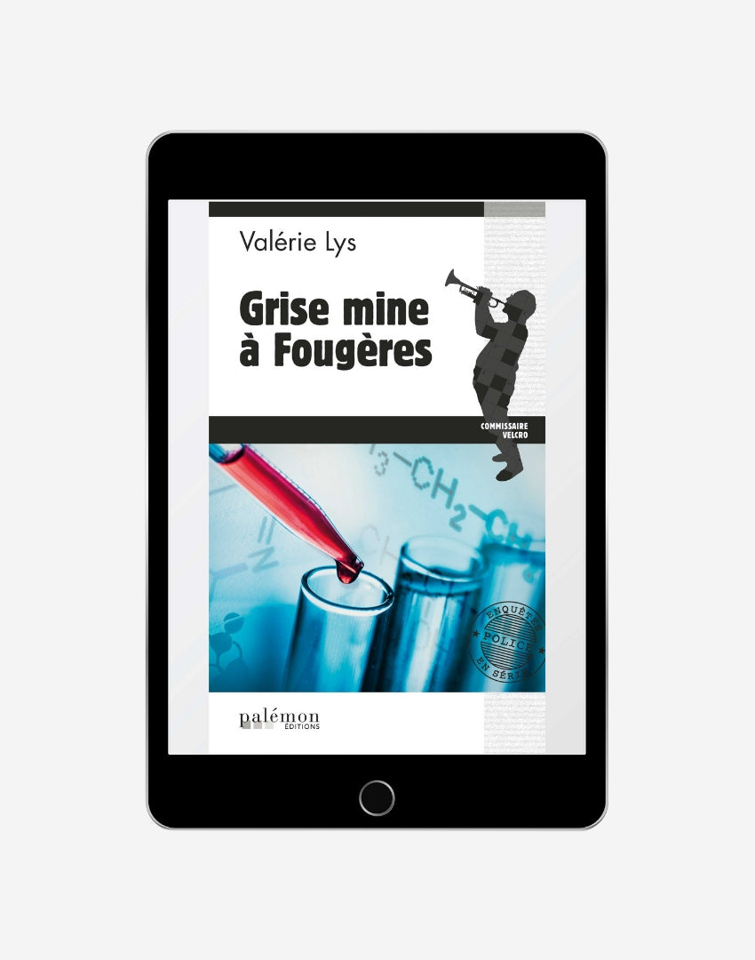 N°03 - Grise mine à Fougères