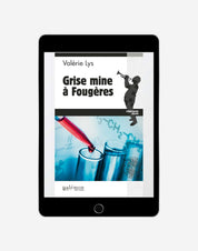 N°03 - Grise mine à Fougères