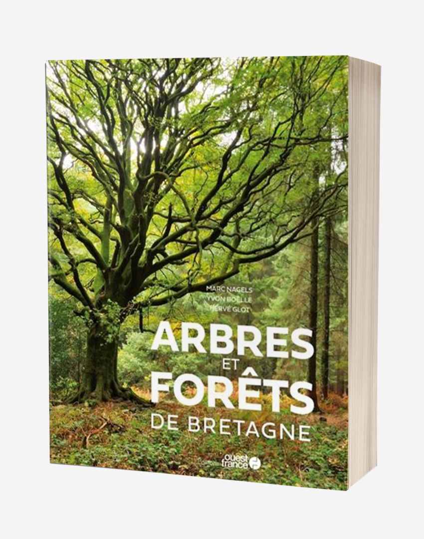 Arbres et forêts de Bretagne