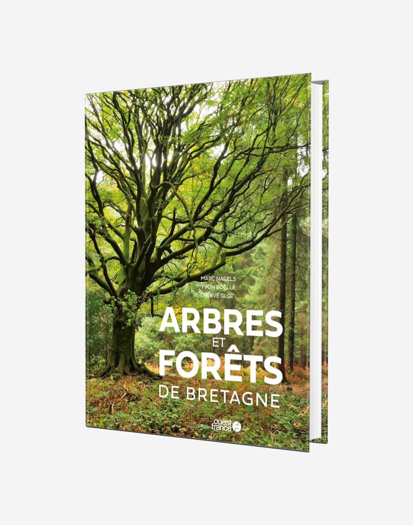 Arbres et forêts de Bretagne