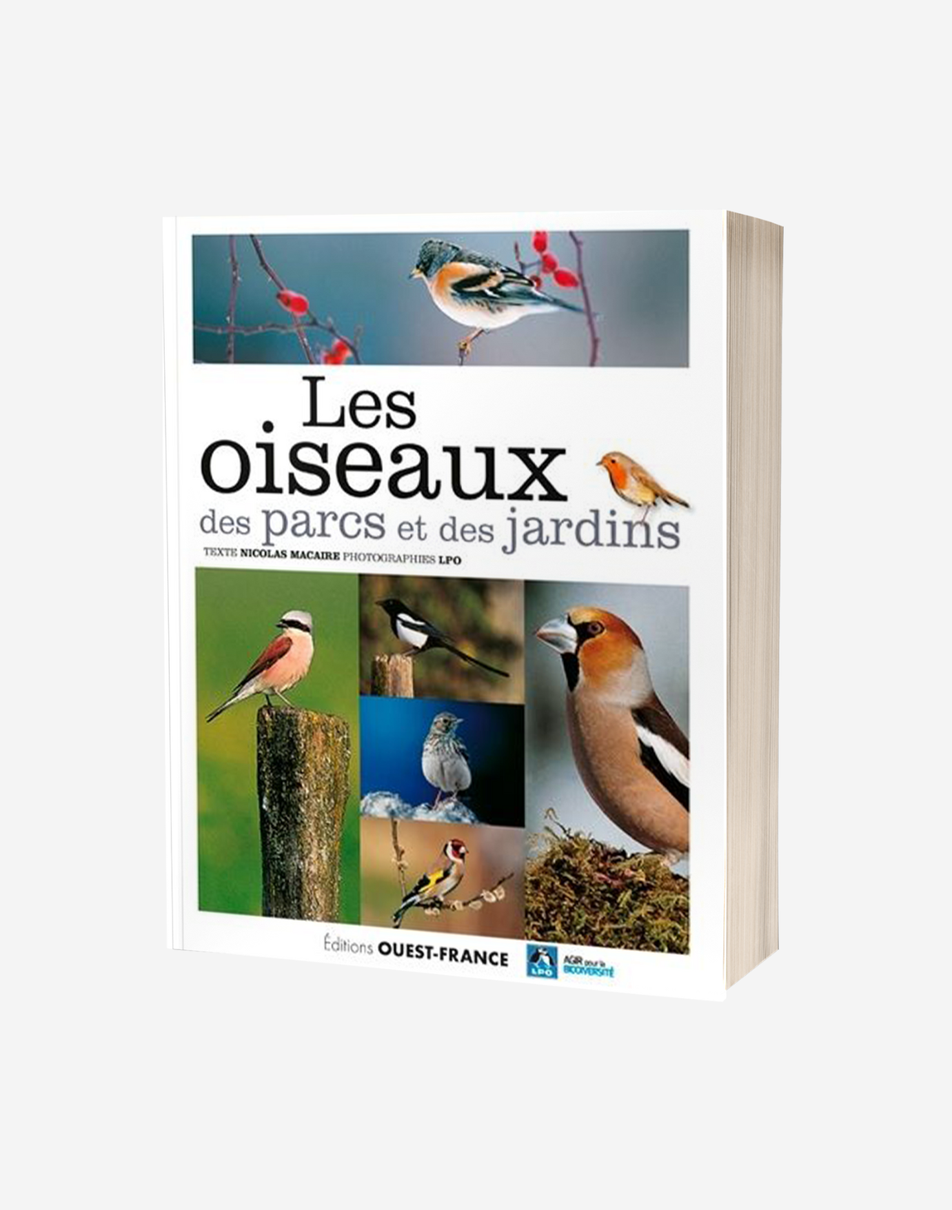 Les oiseaux des parcs et jardins